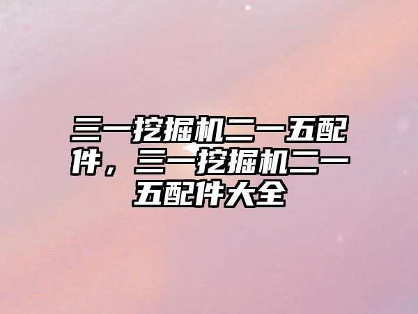 三一挖掘機二一五配件，三一挖掘機二一五配件大全