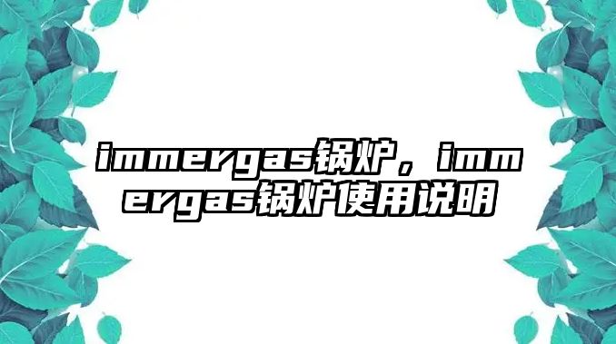 immergas鍋爐，immergas鍋爐使用說(shuō)明