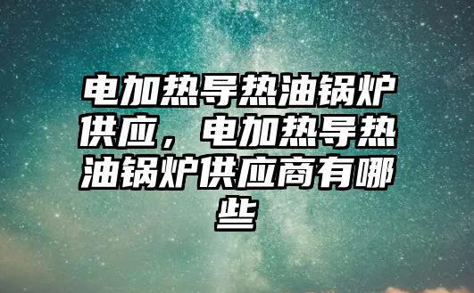 電加熱導熱油鍋爐供應，電加熱導熱油鍋爐供應商有哪些