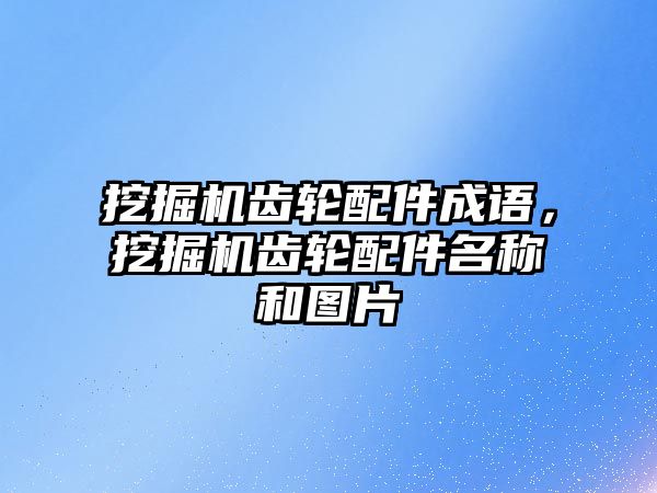 挖掘機齒輪配件成語，挖掘機齒輪配件名稱和圖片