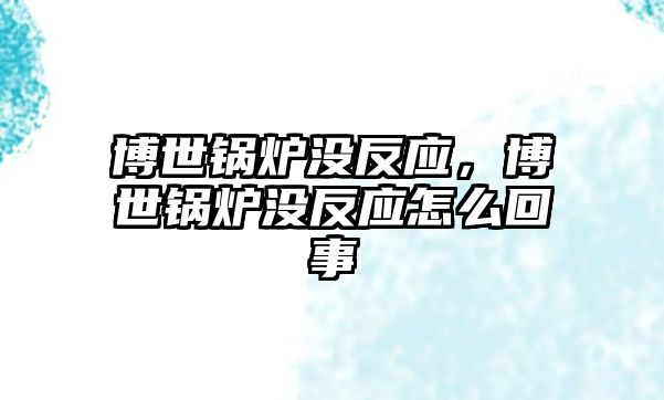 博世鍋爐沒(méi)反應(yīng)，博世鍋爐沒(méi)反應(yīng)怎么回事