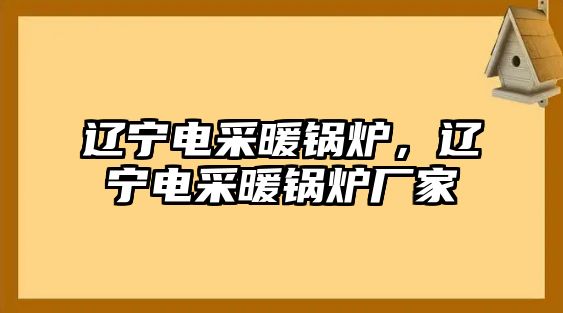 遼寧電采暖鍋爐，遼寧電采暖鍋爐廠家