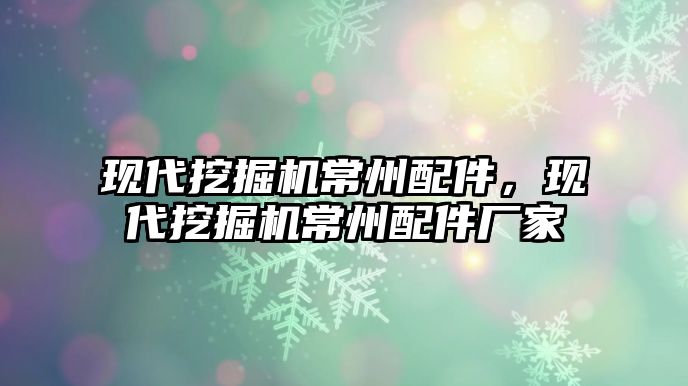 現(xiàn)代挖掘機常州配件，現(xiàn)代挖掘機常州配件廠家