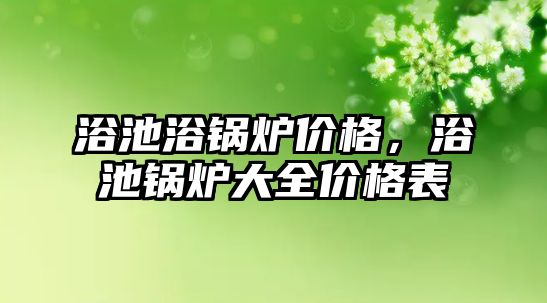 浴池浴鍋爐價格，浴池鍋爐大全價格表