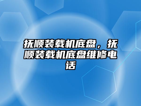 撫順裝載機底盤，撫順裝載機底盤維修電話