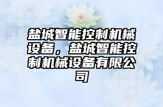 鹽城智能控制機械設(shè)備，鹽城智能控制機械設(shè)備有限公司