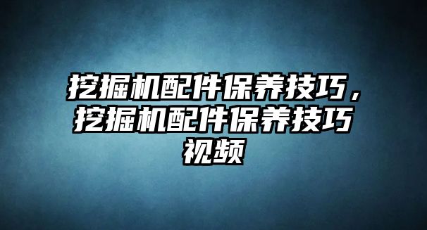 挖掘機配件保養(yǎng)技巧，挖掘機配件保養(yǎng)技巧視頻