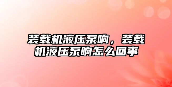 裝載機液壓泵響，裝載機液壓泵響怎么回事