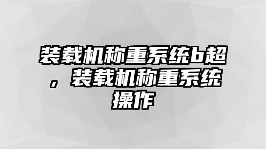 裝載機稱重系統(tǒng)b超，裝載機稱重系統(tǒng)操作