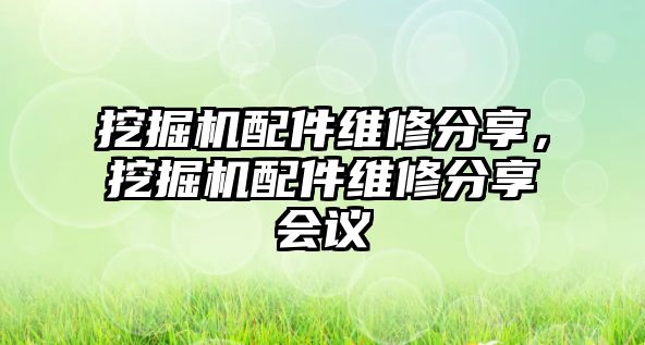 挖掘機(jī)配件維修分享，挖掘機(jī)配件維修分享會議