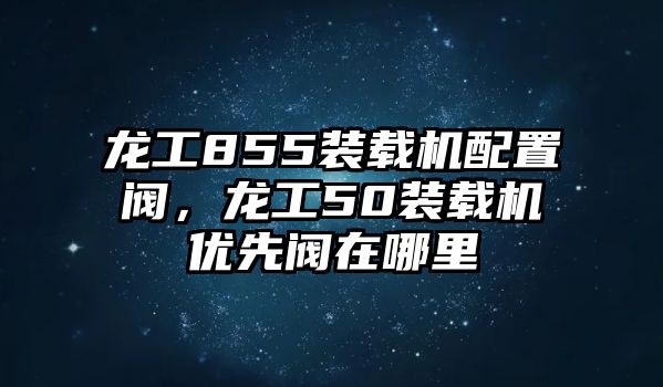 龍工855裝載機配置閥，龍工50裝載機優(yōu)先閥在哪里