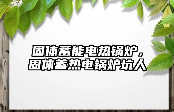 固體蓄能電熱鍋爐，固體蓄熱電鍋爐坑人