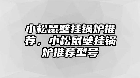 小松鼠壁掛鍋爐推薦，小松鼠壁掛鍋爐推薦型號