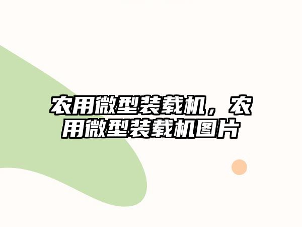 農(nóng)用微型裝載機，農(nóng)用微型裝載機圖片