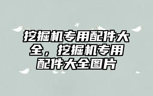 挖掘機專用配件大全，挖掘機專用配件大全圖片