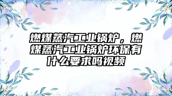 燃煤蒸汽工業(yè)鍋爐，燃煤蒸汽工業(yè)鍋爐環(huán)保有什么要求嗎視頻