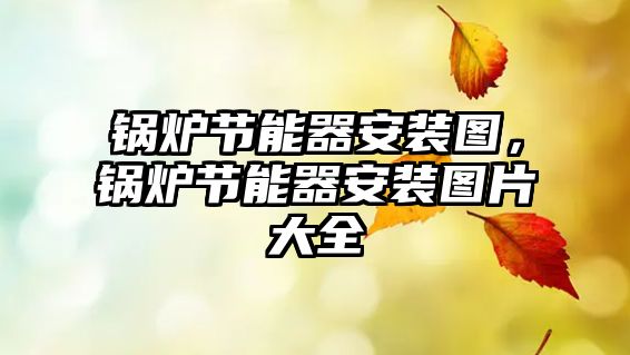 鍋爐節(jié)能器安裝圖，鍋爐節(jié)能器安裝圖片大全