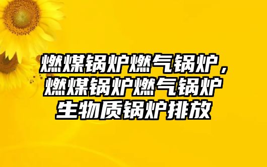 燃煤鍋爐燃?xì)忮仩t，燃煤鍋爐燃?xì)忮仩t生物質(zhì)鍋爐排放