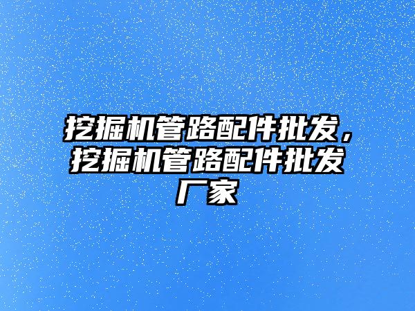 挖掘機管路配件批發(fā)，挖掘機管路配件批發(fā)廠家