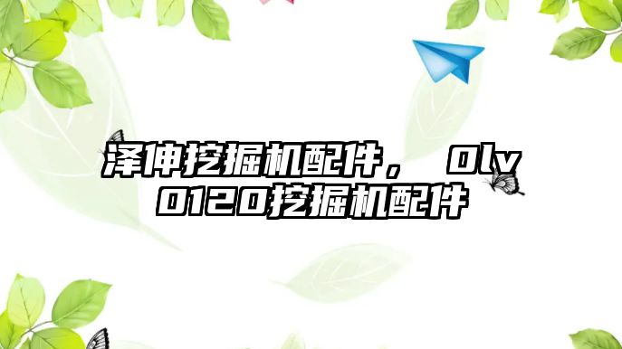 澤伸挖掘機配件，ⅴ0lv0120挖掘機配件