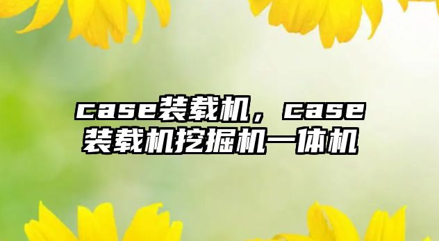 case裝載機，case裝載機挖掘機一體機