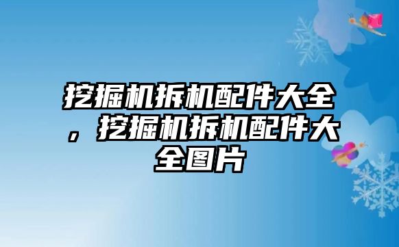 挖掘機拆機配件大全，挖掘機拆機配件大全圖片