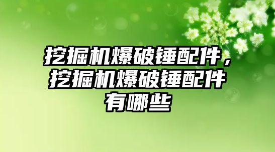 挖掘機爆破錘配件，挖掘機爆破錘配件有哪些