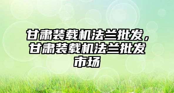 甘肅裝載機法蘭批發(fā)，甘肅裝載機法蘭批發(fā)市場