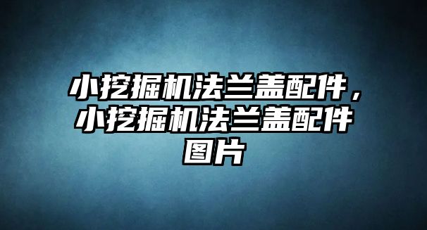 小挖掘機法蘭蓋配件，小挖掘機法蘭蓋配件圖片