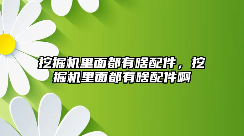 挖掘機(jī)里面都有啥配件，挖掘機(jī)里面都有啥配件啊