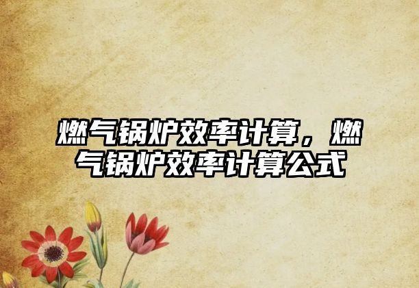 燃?xì)忮仩t效率計算，燃?xì)忮仩t效率計算公式