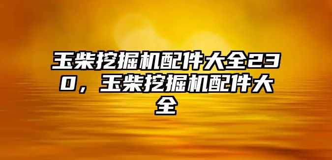 玉柴挖掘機(jī)配件大全230，玉柴挖掘機(jī)配件大全