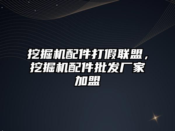 挖掘機配件打假聯(lián)盟，挖掘機配件批發(fā)廠家加盟