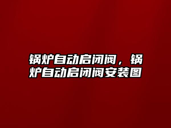 鍋爐自動啟閉閥，鍋爐自動啟閉閥安裝圖