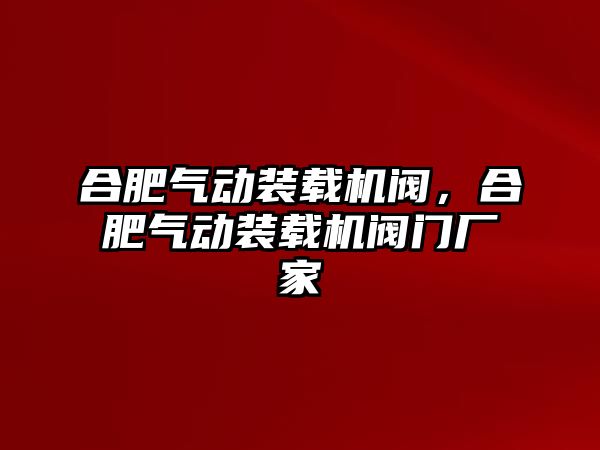 合肥氣動(dòng)裝載機(jī)閥，合肥氣動(dòng)裝載機(jī)閥門廠家