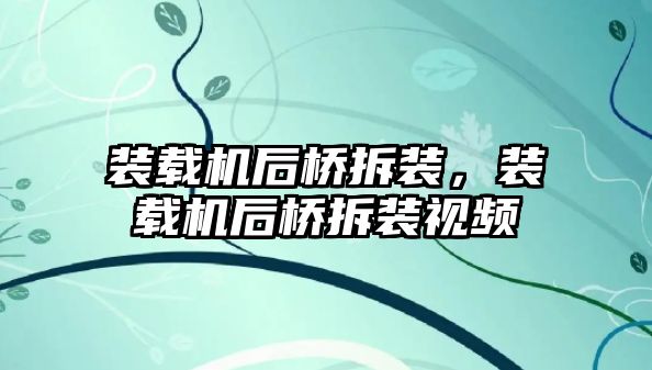 裝載機后橋拆裝，裝載機后橋拆裝視頻