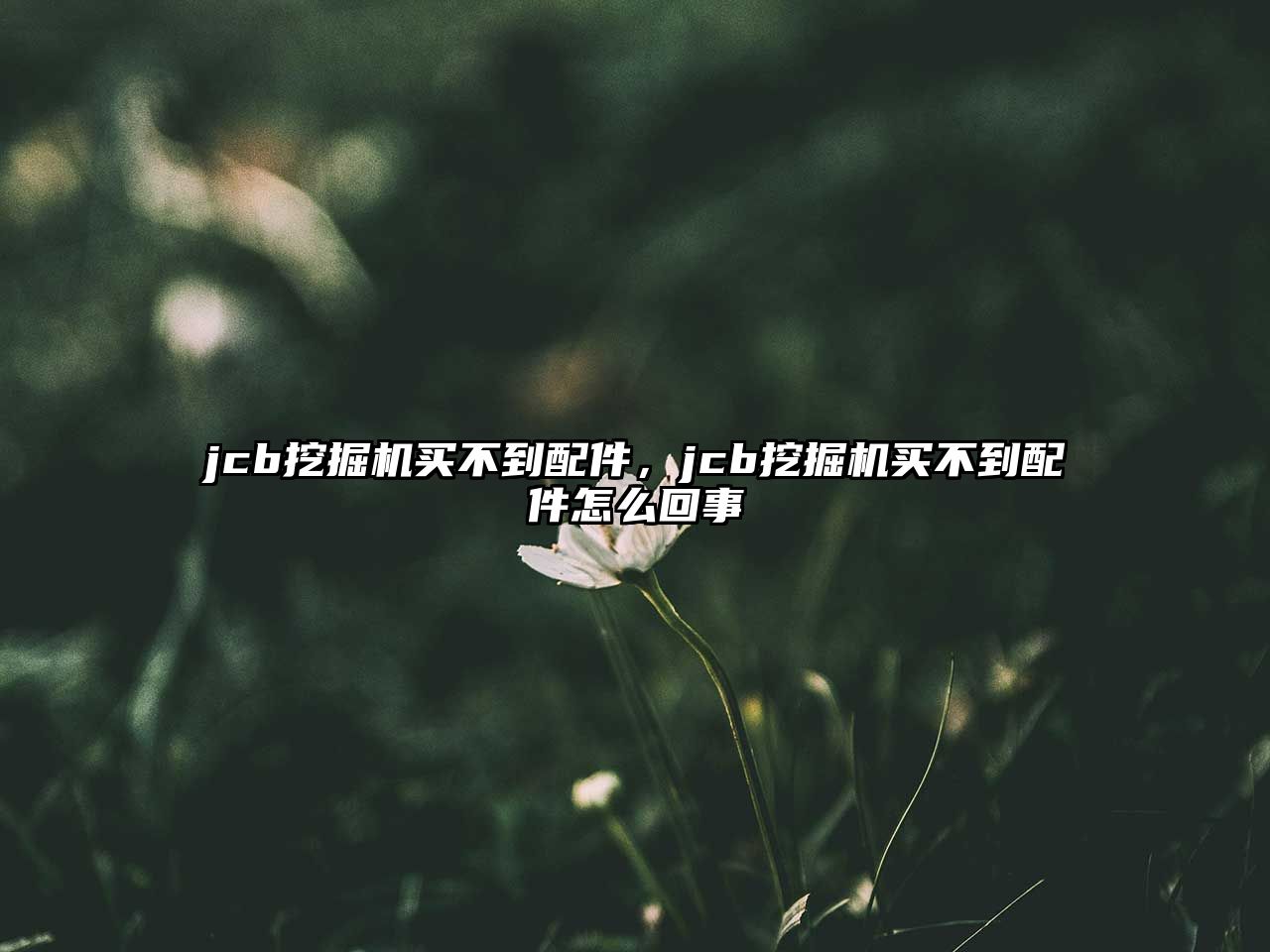 jcb挖掘機(jī)買(mǎi)不到配件，jcb挖掘機(jī)買(mǎi)不到配件怎么回事