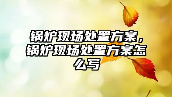 鍋爐現(xiàn)場(chǎng)處置方案，鍋爐現(xiàn)場(chǎng)處置方案怎么寫