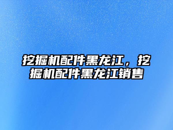 挖掘機(jī)配件黑龍江，挖掘機(jī)配件黑龍江銷售