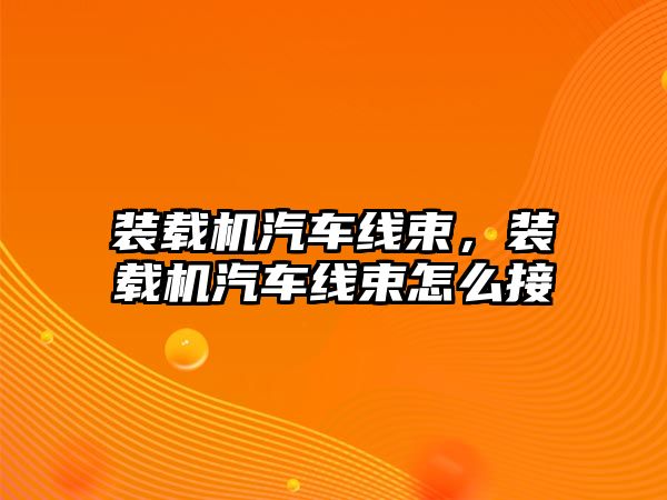 裝載機汽車線束，裝載機汽車線束怎么接