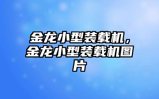 金龍小型裝載機，金龍小型裝載機圖片