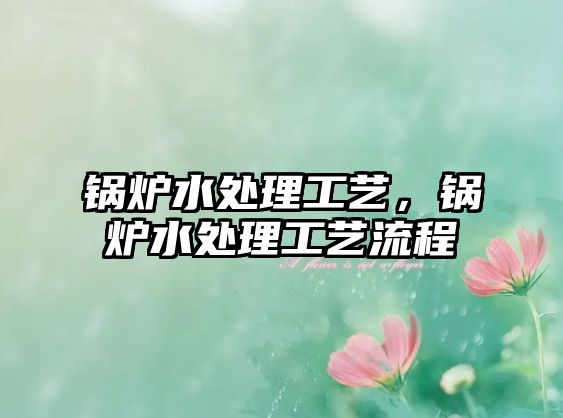 鍋爐水處理工藝，鍋爐水處理工藝流程