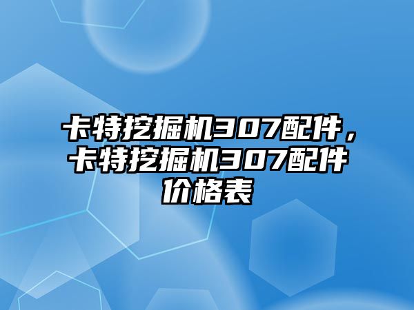 卡特挖掘機(jī)307配件，卡特挖掘機(jī)307配件價(jià)格表