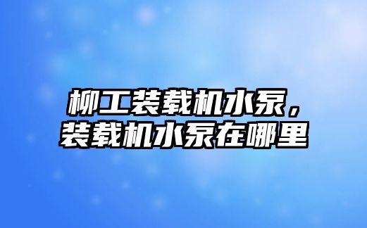 柳工裝載機水泵，裝載機水泵在哪里