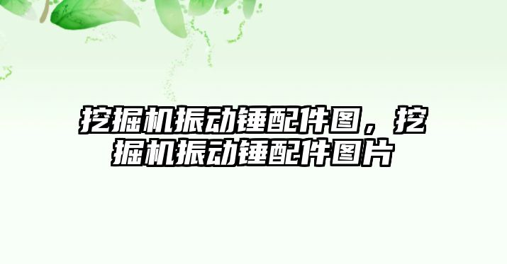 挖掘機振動錘配件圖，挖掘機振動錘配件圖片