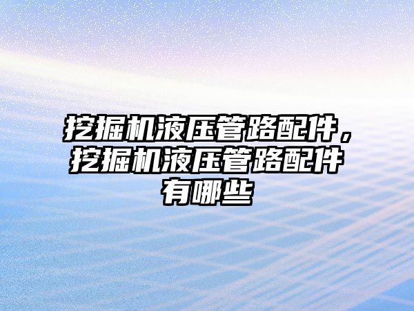 挖掘機液壓管路配件，挖掘機液壓管路配件有哪些