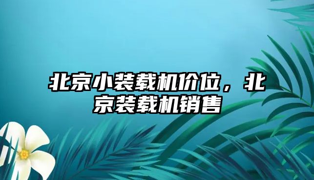 北京小裝載機(jī)價(jià)位，北京裝載機(jī)銷售