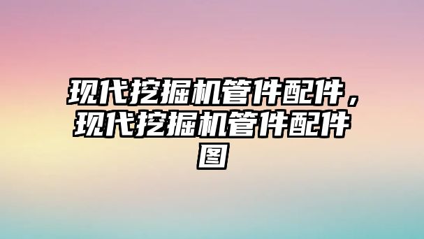 現(xiàn)代挖掘機(jī)管件配件，現(xiàn)代挖掘機(jī)管件配件圖