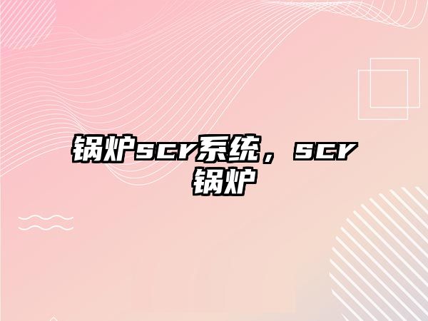 鍋爐scr系統(tǒng)，scr 鍋爐