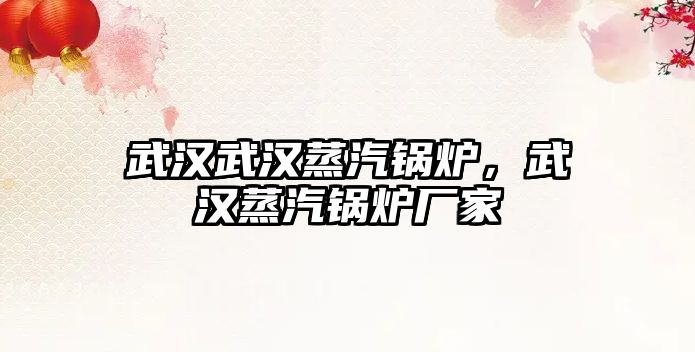 武漢武漢蒸汽鍋爐，武漢蒸汽鍋爐廠家